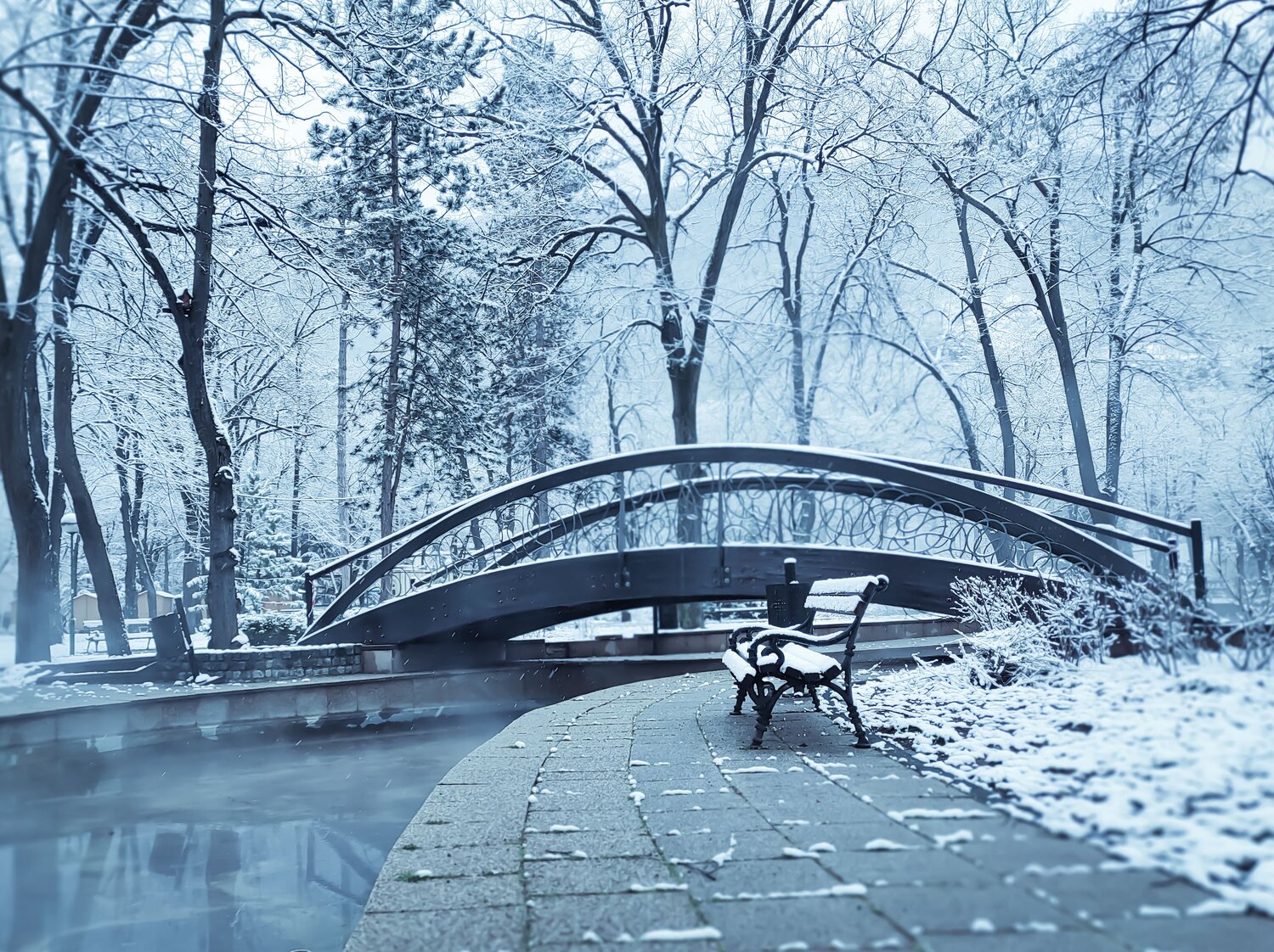Photo #7614345