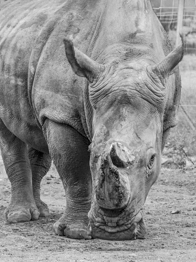 Photograph by Наталья Кокорина