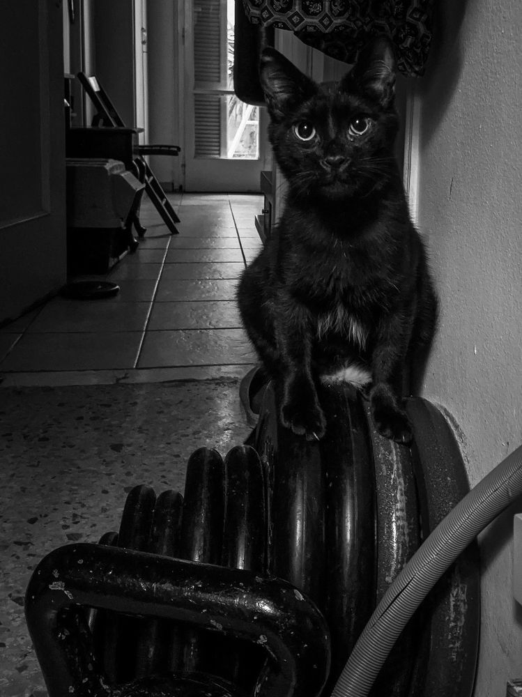 Photograph by Георгий Акопджанов