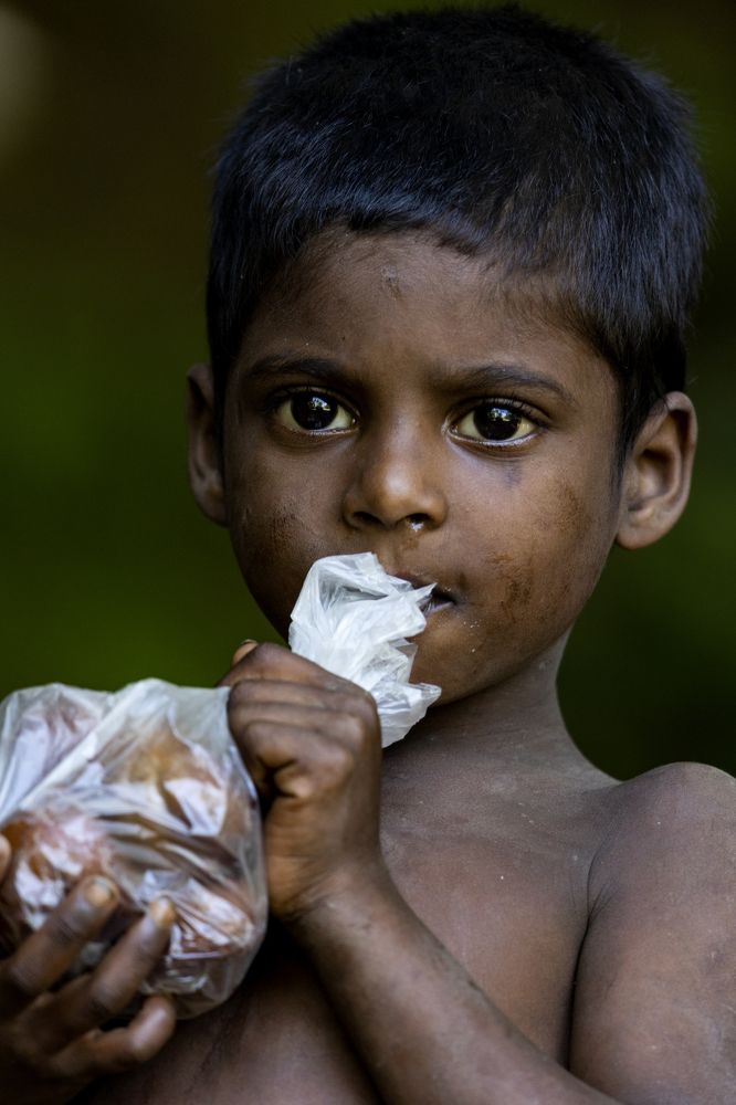 Photograph by  Sajeevkumar