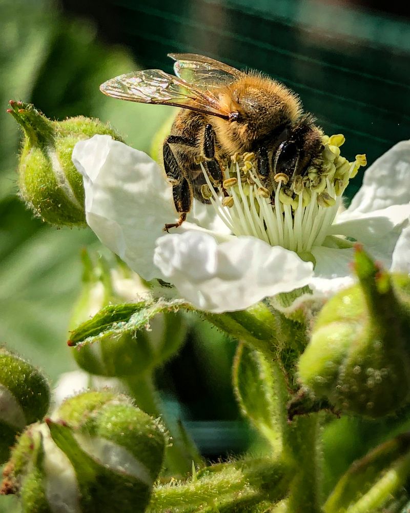 Photograph by Ольга Дубинкина