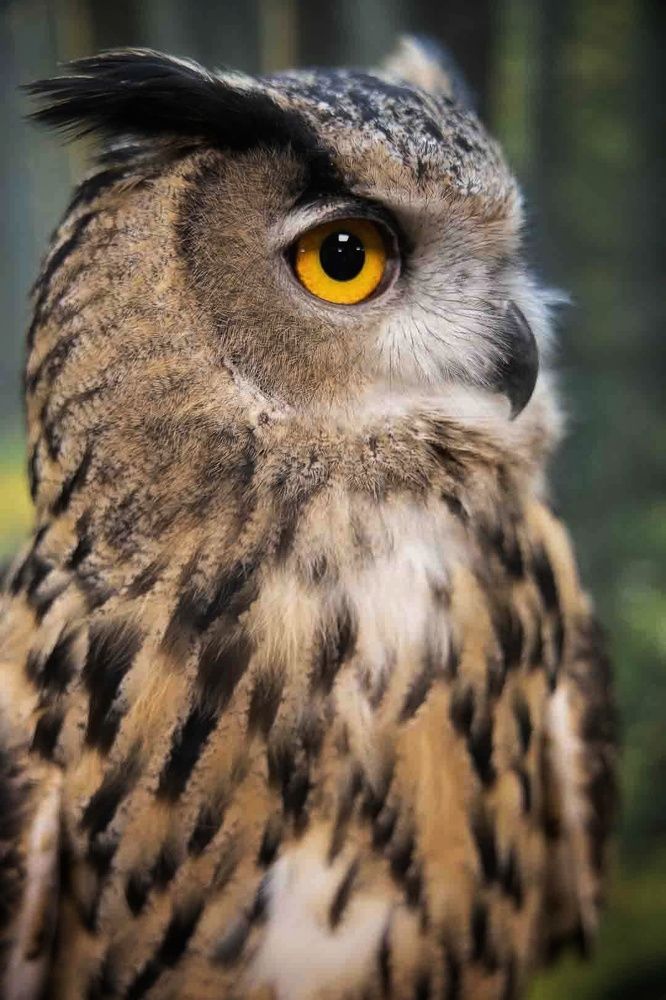 Photograph by Екатерина Кицмен