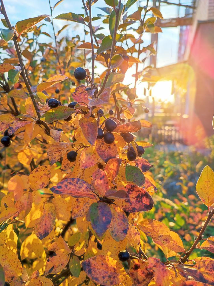 Photograph by Татьяна Сурова