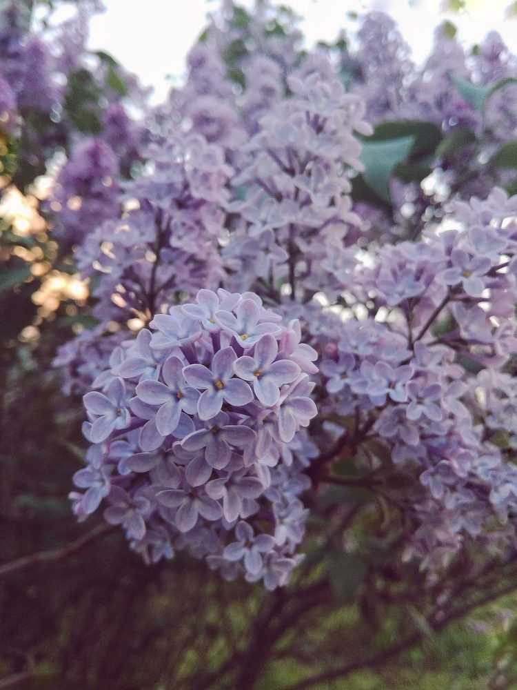 Photograph by Татьяна Сурова