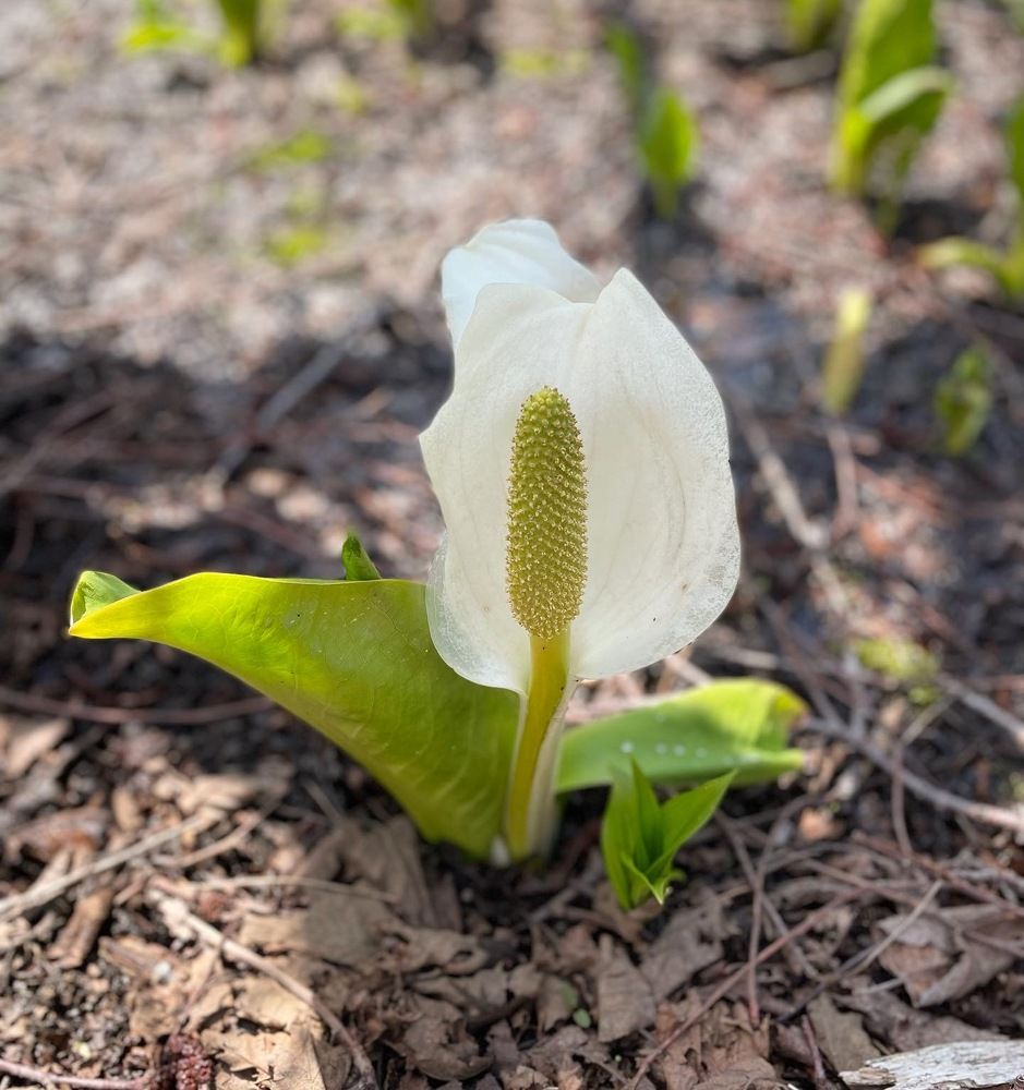 Photograph by Лазурченко Анастасия