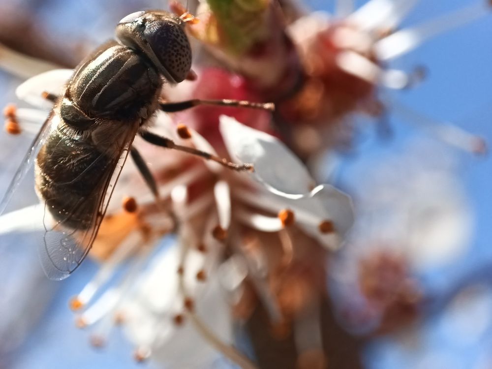 Photograph by Андрей Облаухов