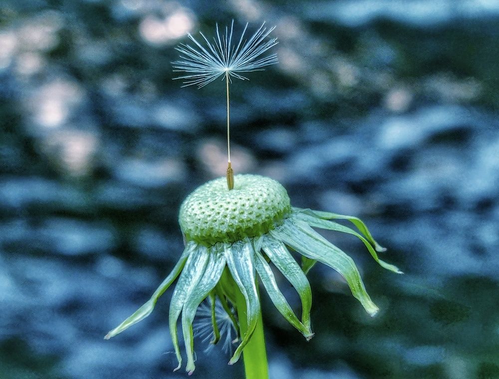 Photograph by Mojca Rebol