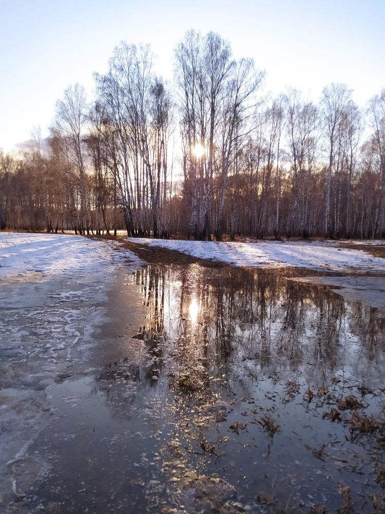 Photograph by Евгения Антропова