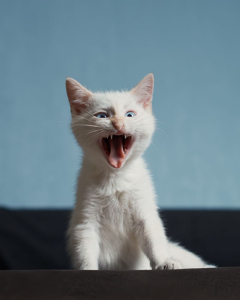 Photograph by Ирина Секачева