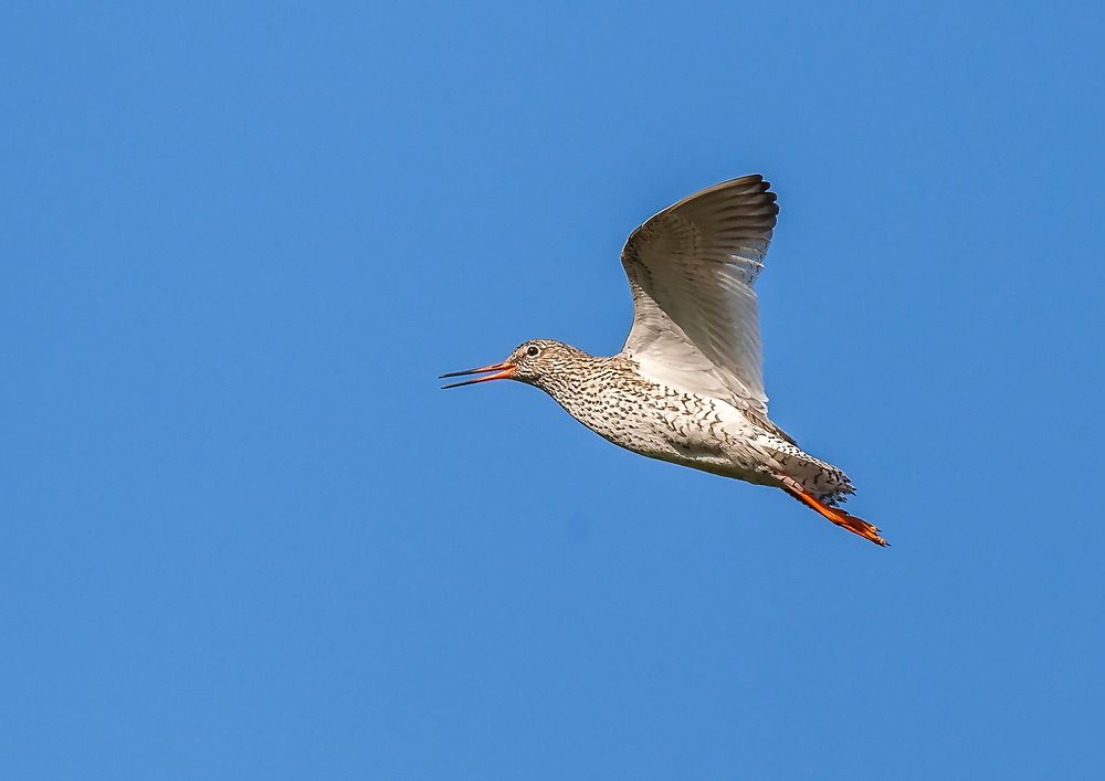 Photograph by Александр Широких