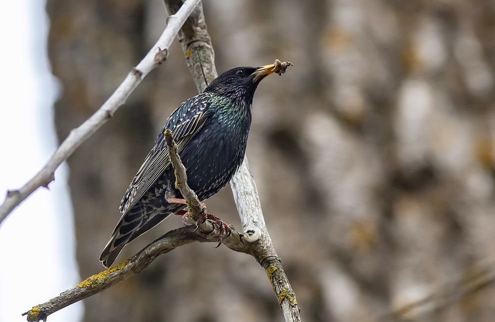 Photograph by Александр Широких