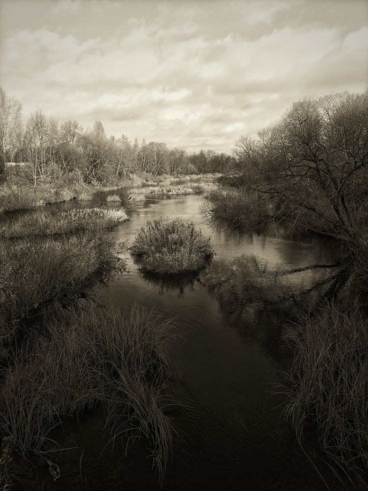 Photograph by Станислава