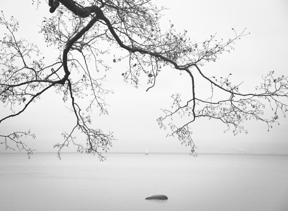 Photograph by Курзина Елена