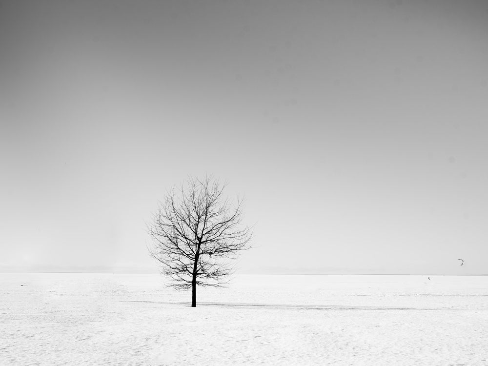 Photograph by Курзина Елена