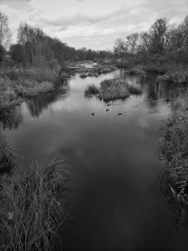 Photograph by Станислава