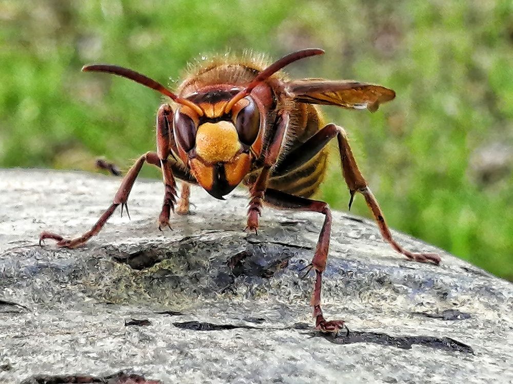 Photograph by Марина Гильмиярова