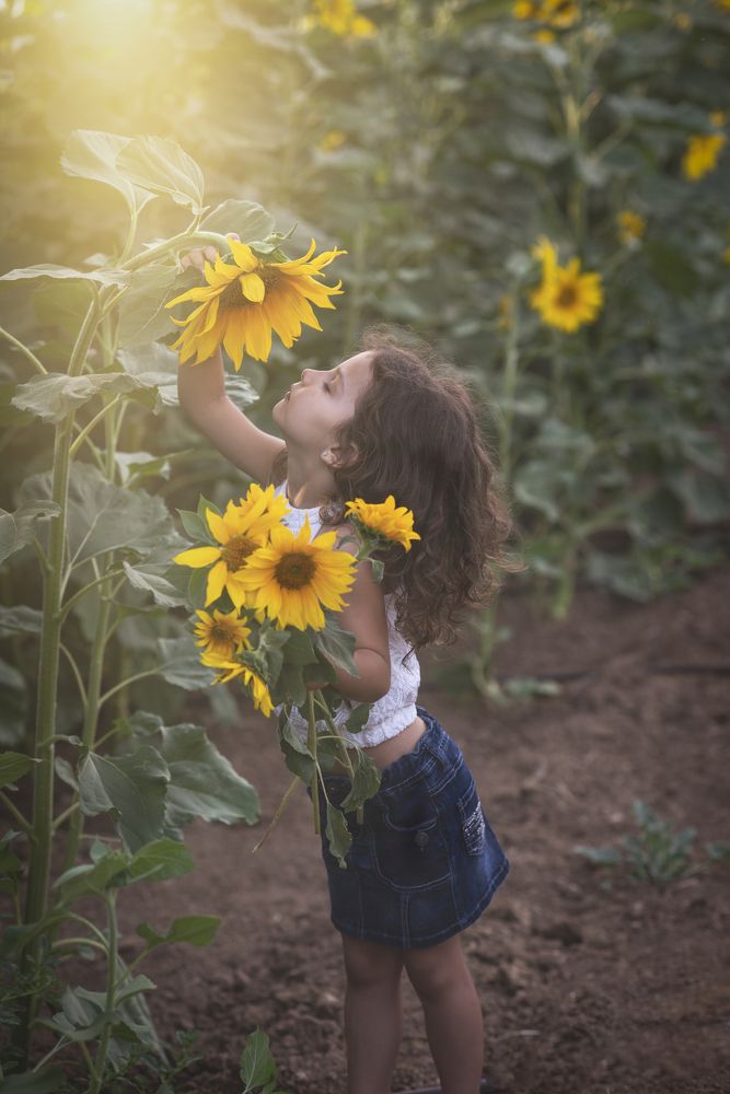 девочка и подсолнух