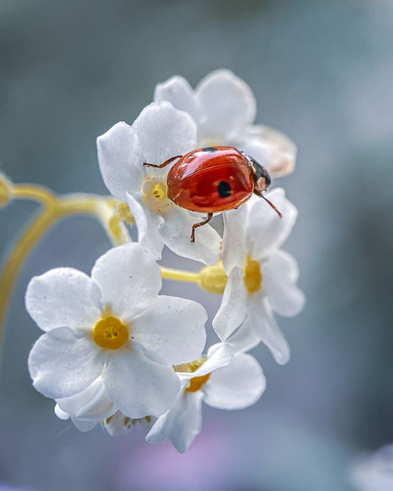 Photograph by Viktoria