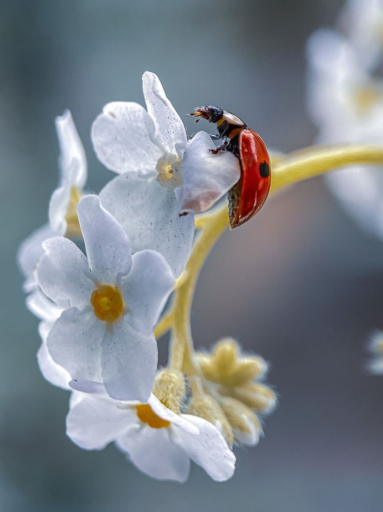 Photograph by Viktoria