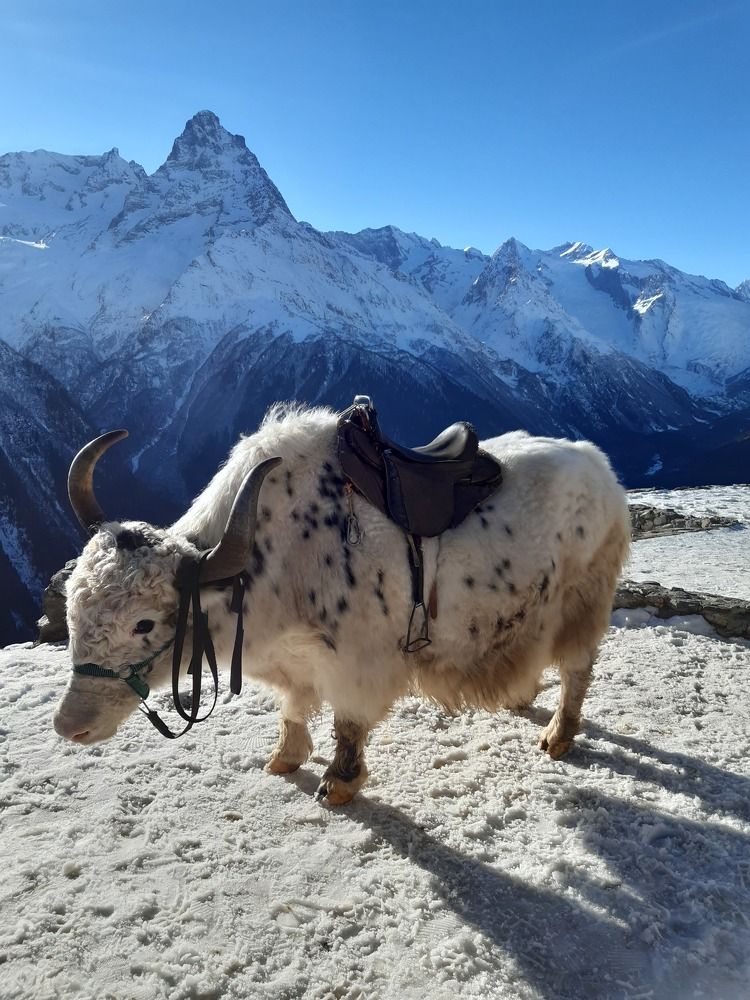 Photograph by Natalia Lebedeva