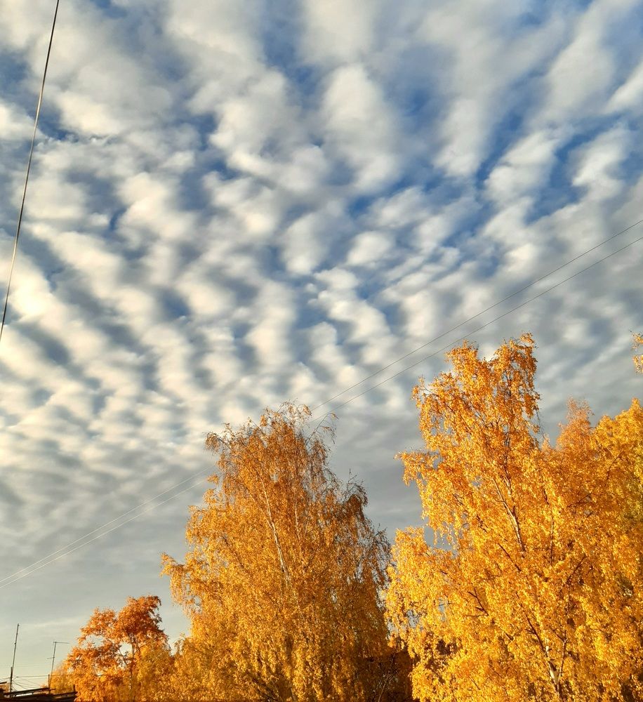 Photograph by Natalia Lebedeva