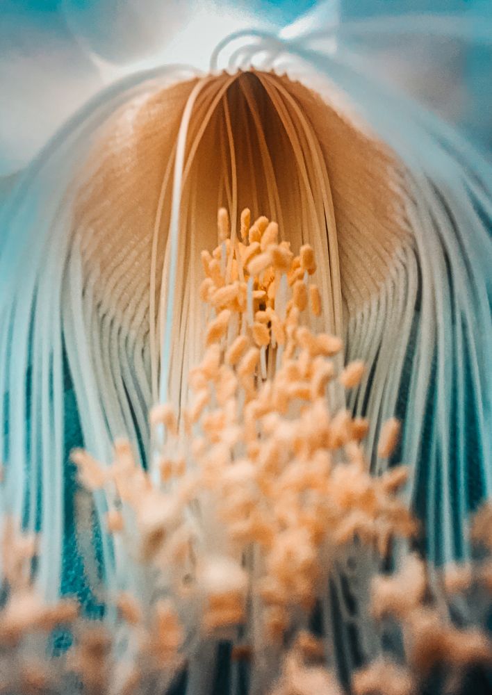 Photograph by NILADRI TALUKDER
