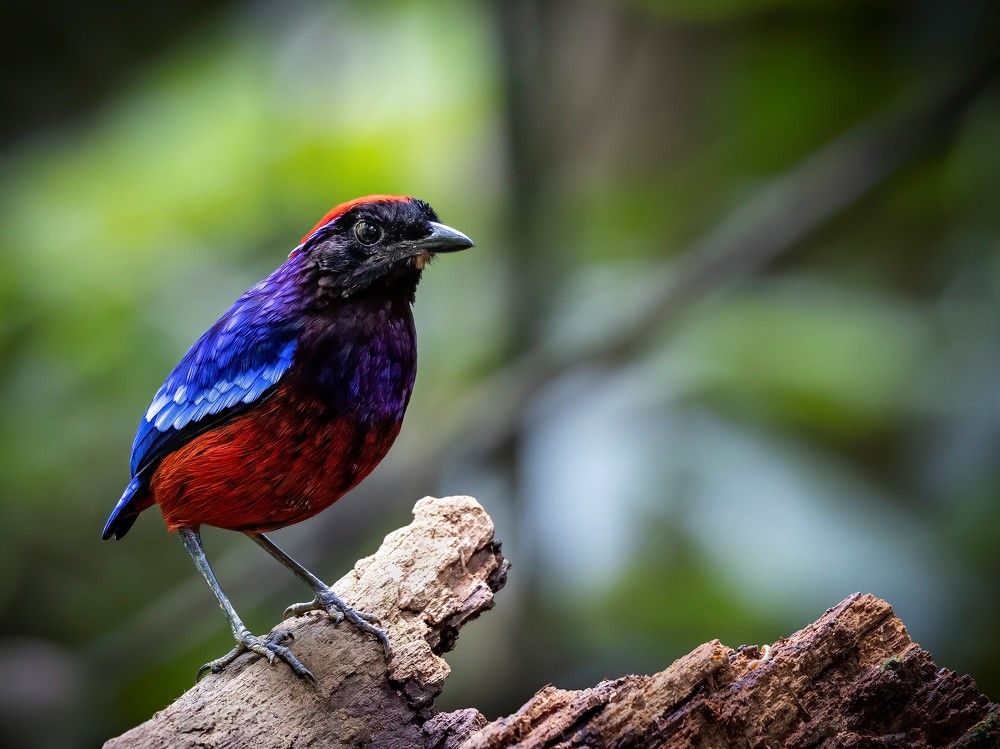 Photograph by Cindy Quek