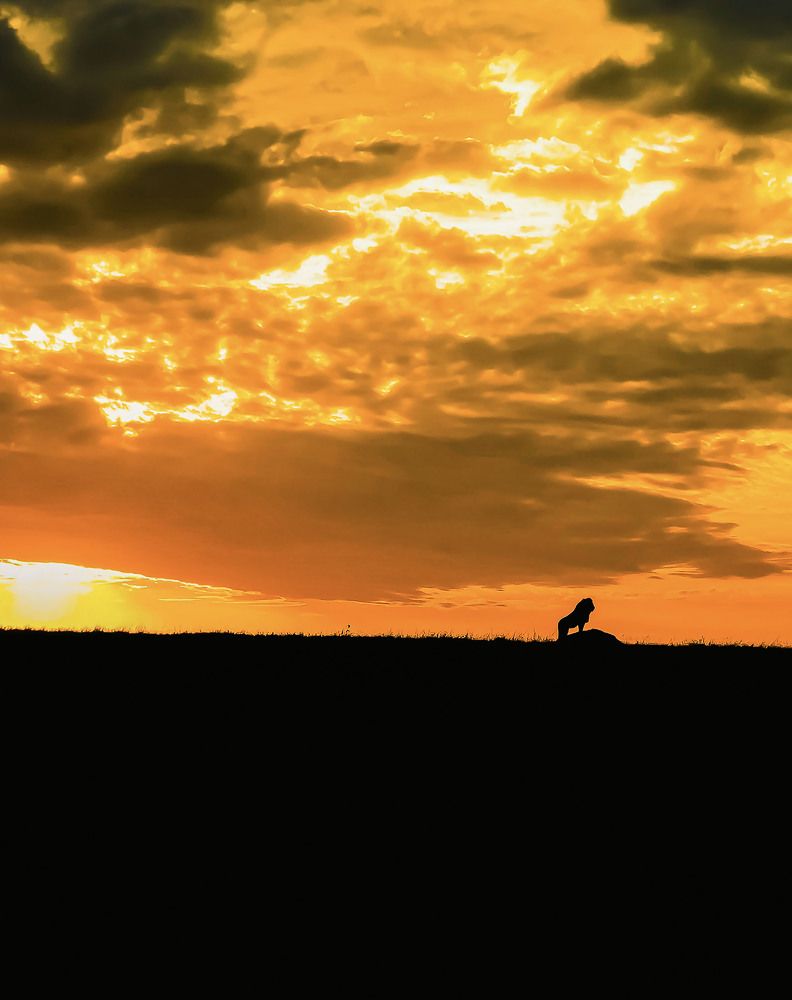 Photograph by Rino Suren