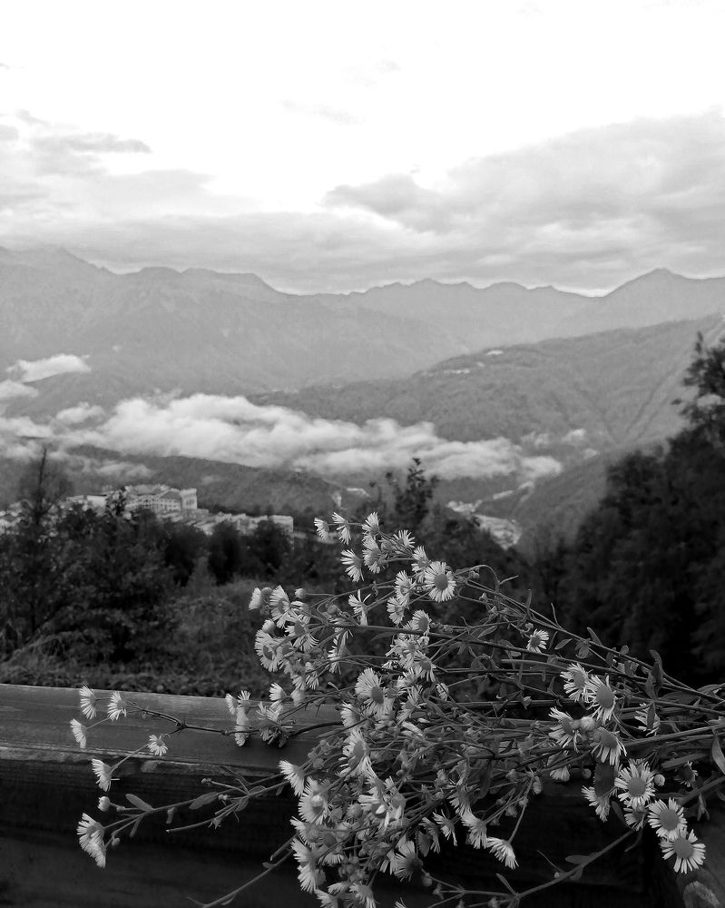 Photograph by Лариса Бурова