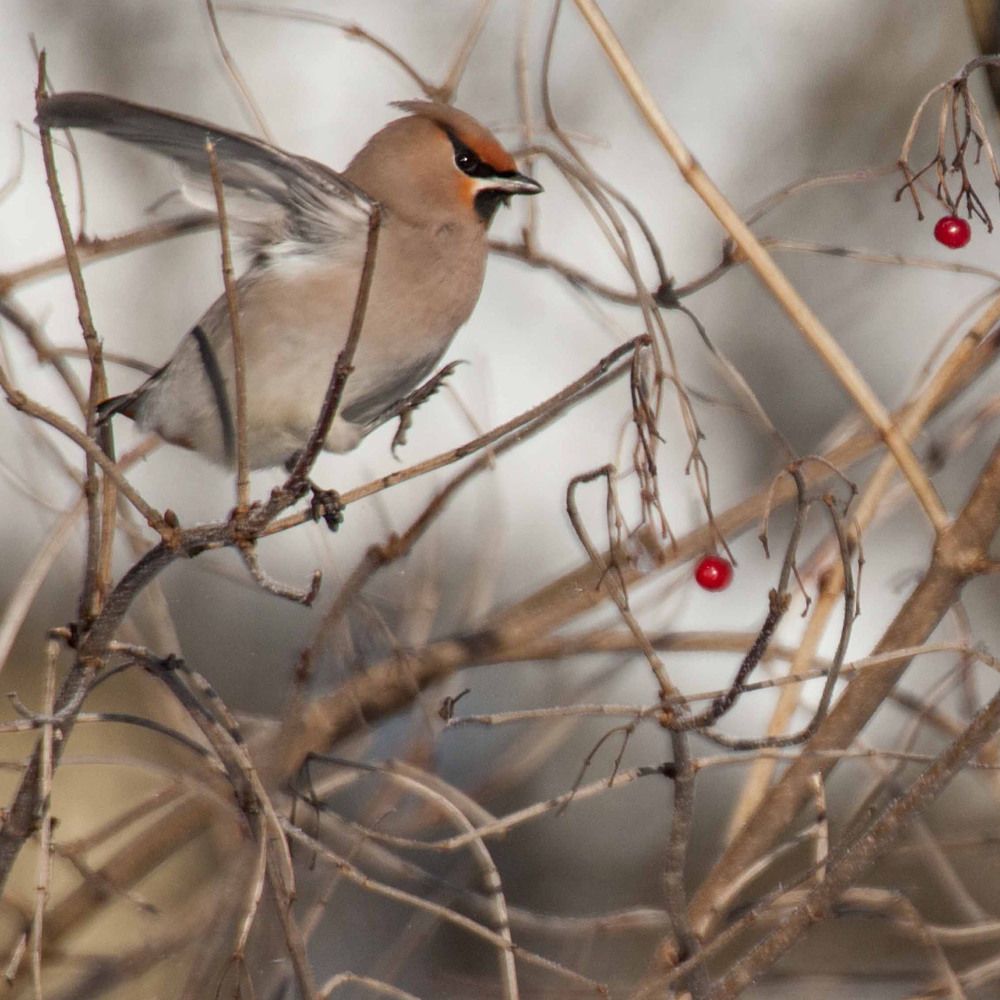 Photograph by Анатолий Стребелев