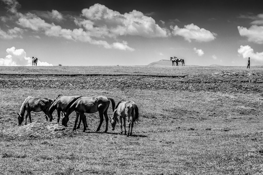 Photograph by Rahman Mojarrad