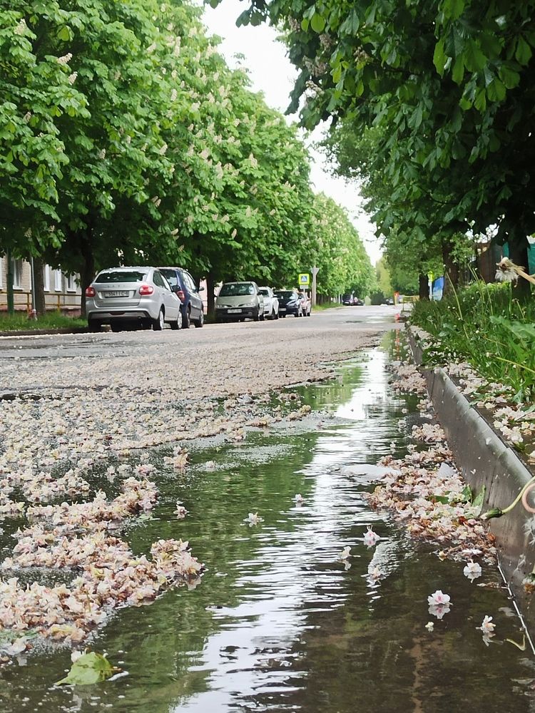 Photograph by Halina Mitsevich