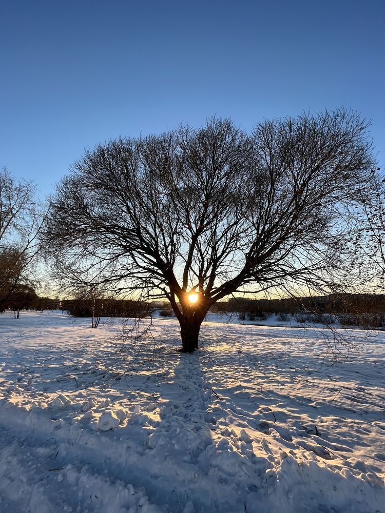 Photograph by Юлия