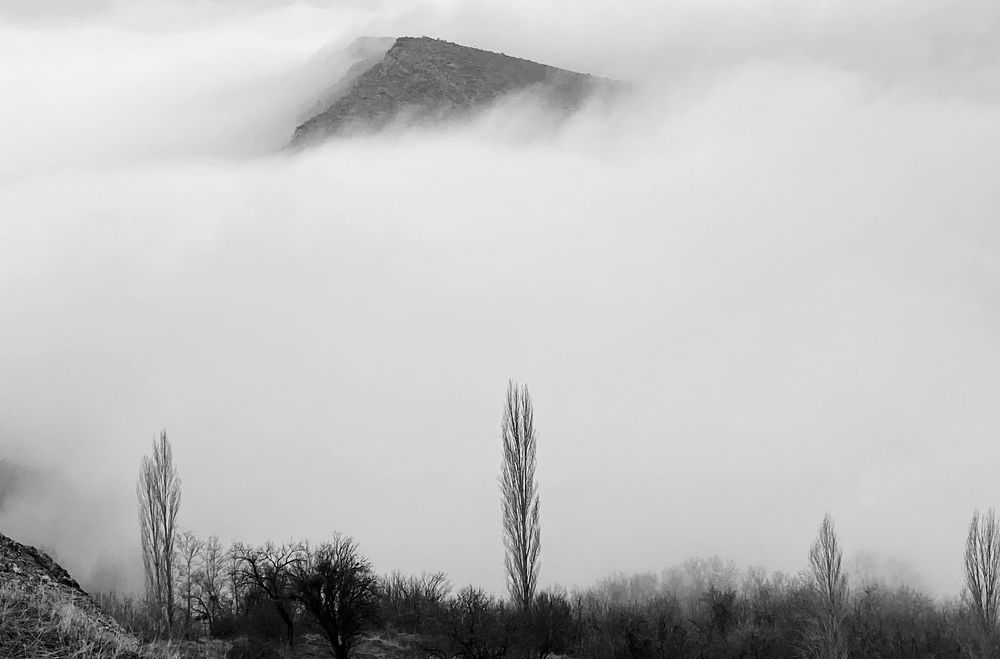 Photograph by samaneh jamali