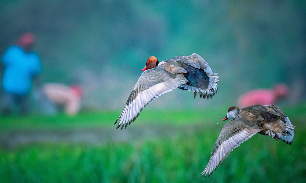 Story of a happy Couple