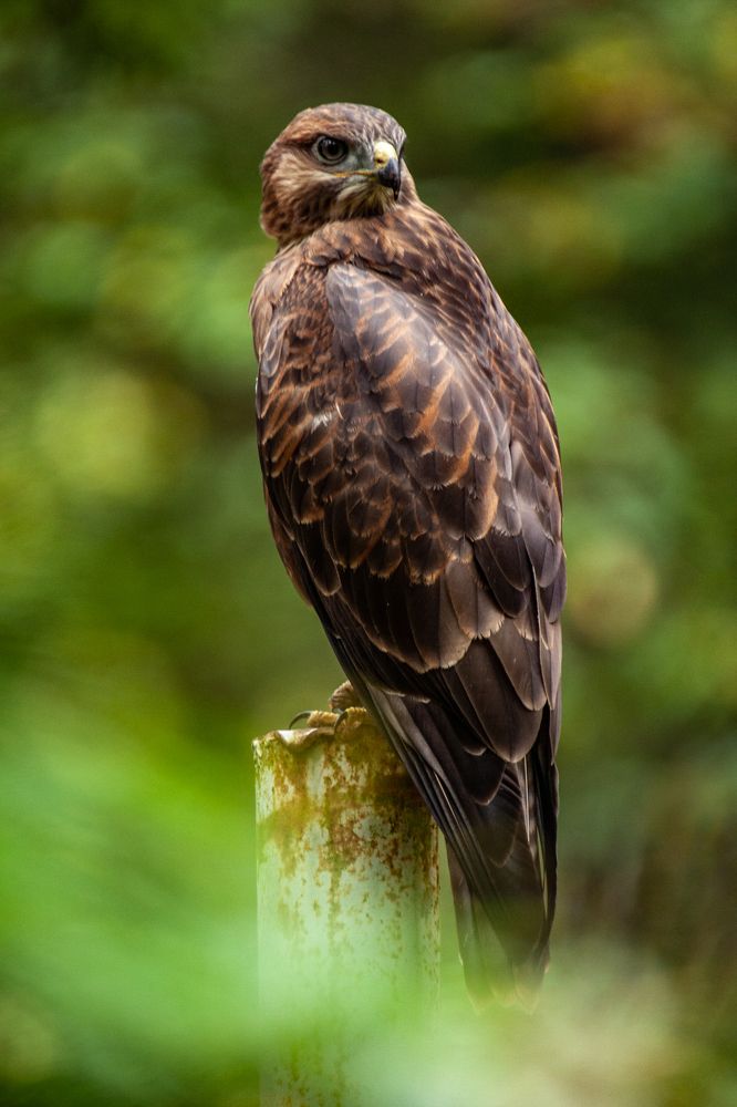 Photograph by Анатолий Стребелев