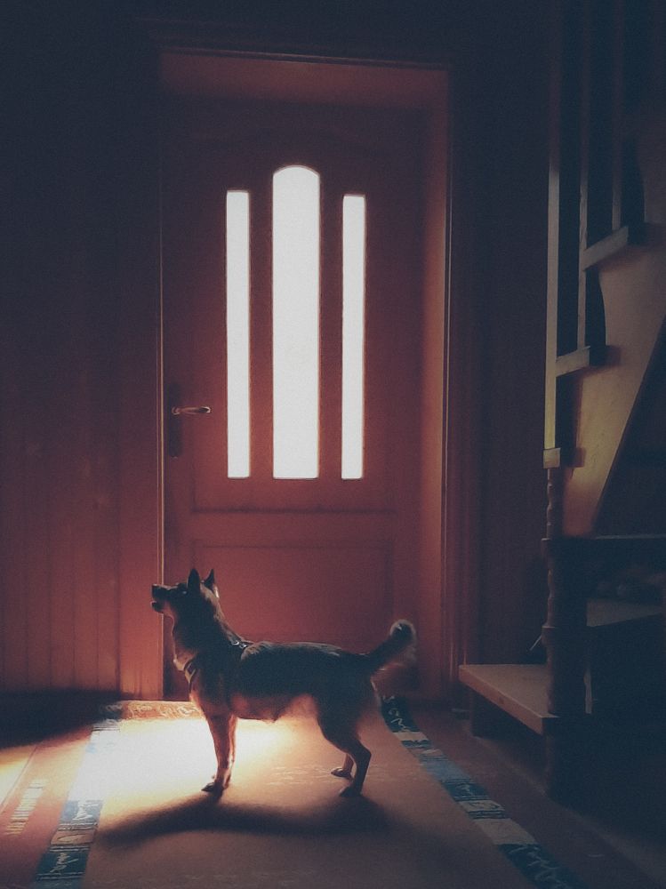 Photograph by Ольга Богорад