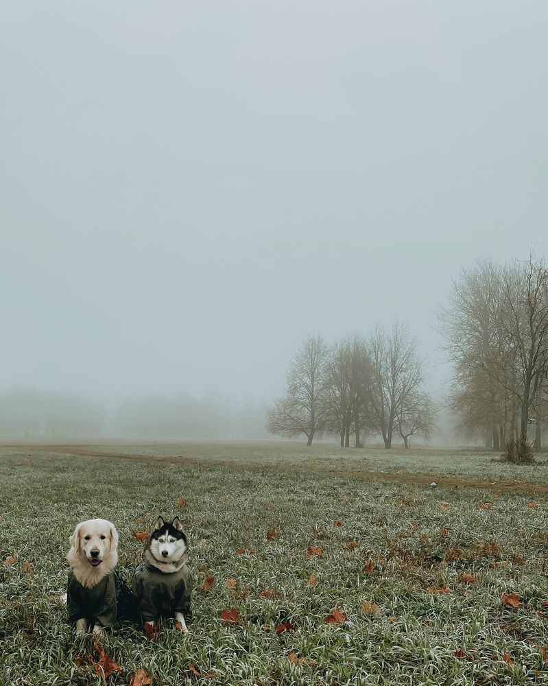 Photograph by Ольга