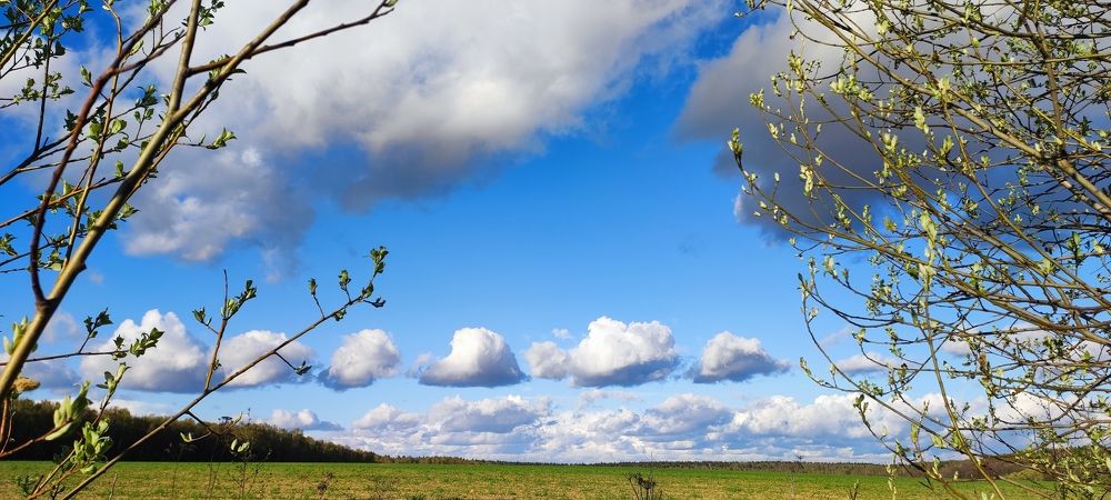 Photograph by Karine Galustova