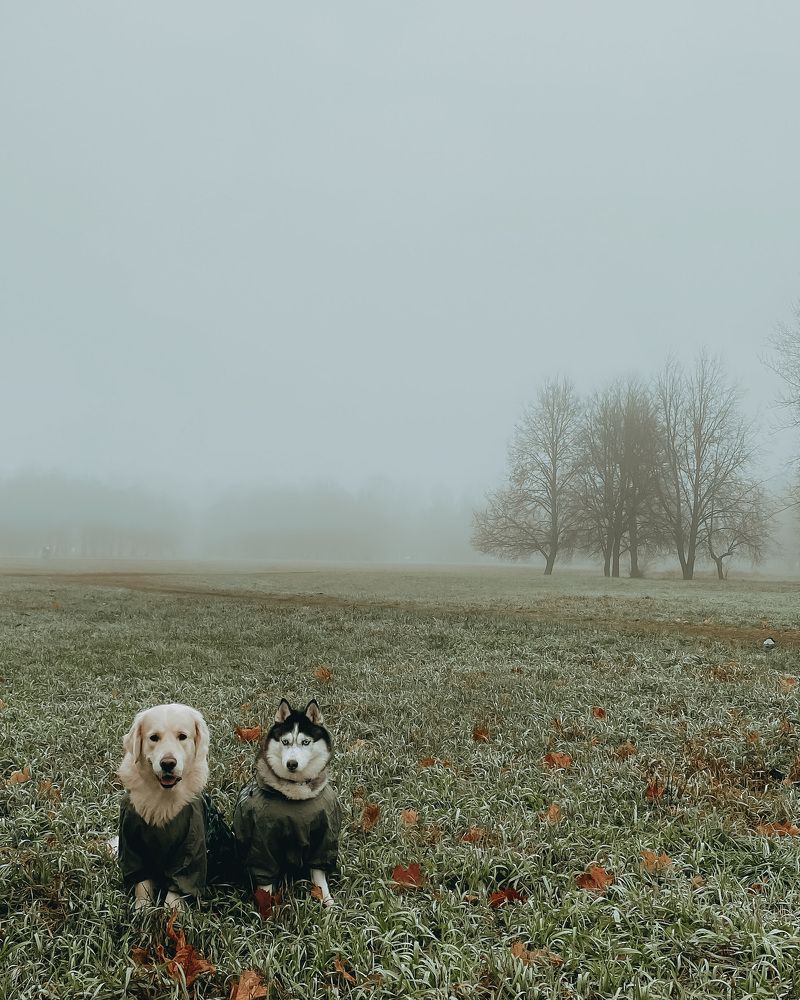 Photograph by Ольга