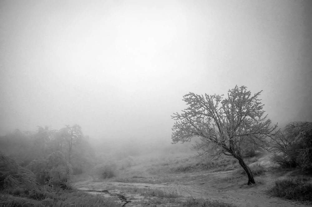 Photograph by Сергей Прокофьев