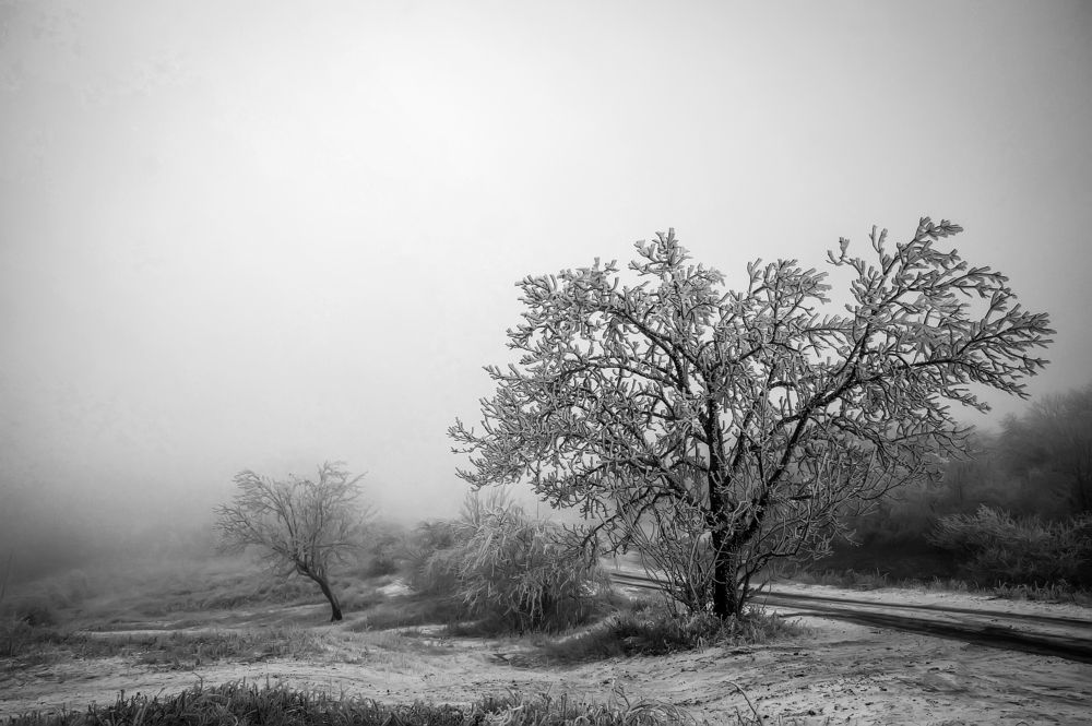 Photograph by Сергей Прокофьев