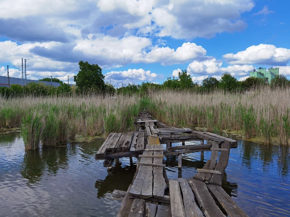Photograph by Евгений Замковой