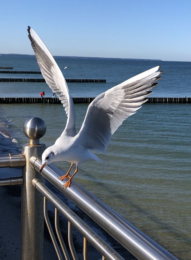 Photograph by Ирина Леонова