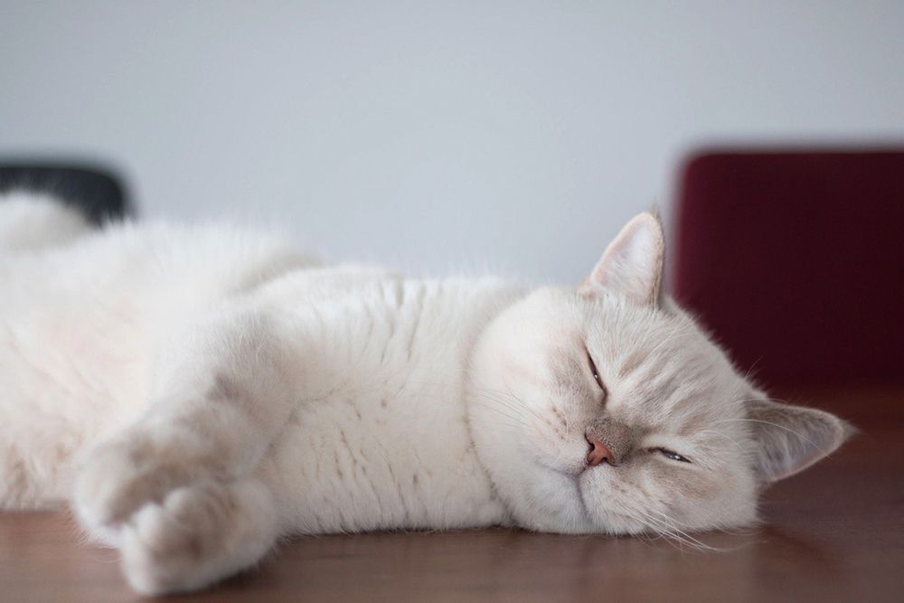 Photograph by Светлана Вайльхен