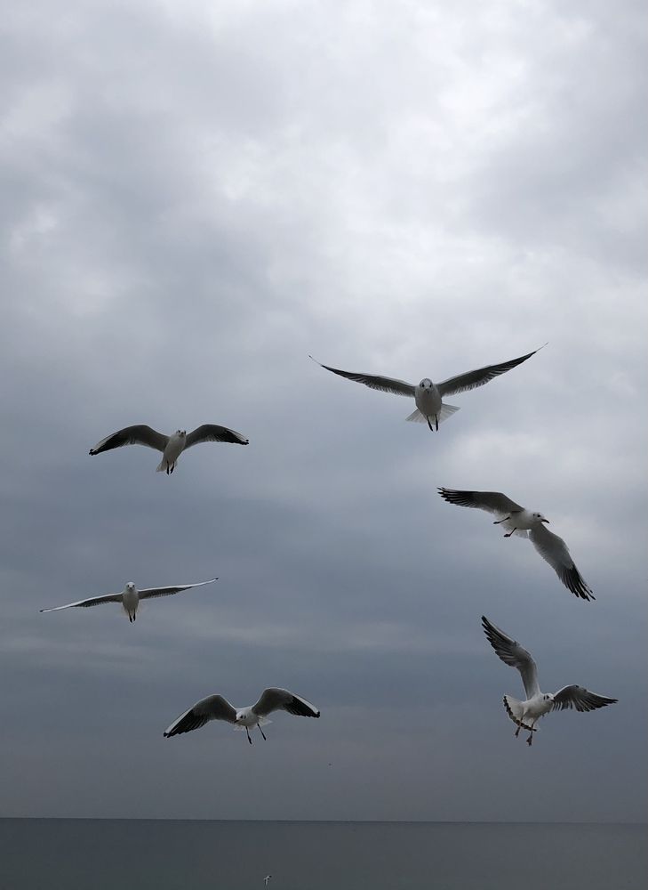 Photograph by Ирина Леонова