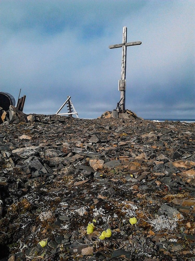 Photograph by Алексей Логинов