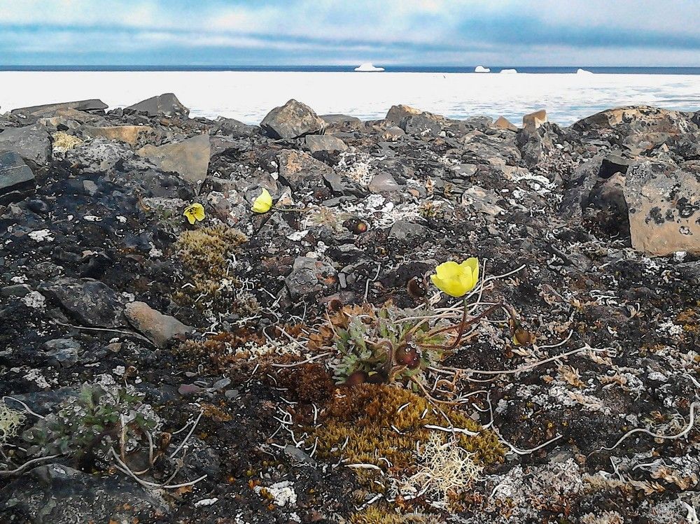 Photograph by Алексей Логинов