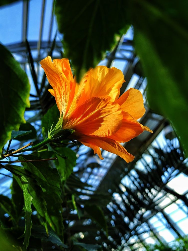 Фотография автора Анна