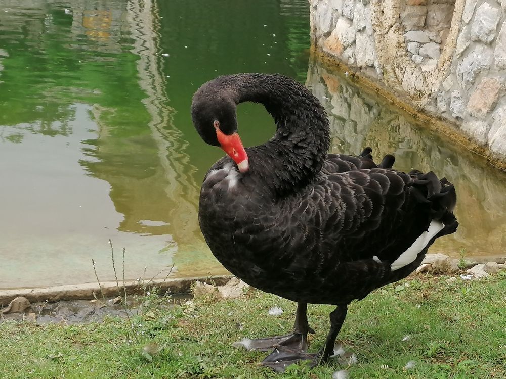 Фотография автора Danica Utjesinovic